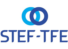 STF-TFE